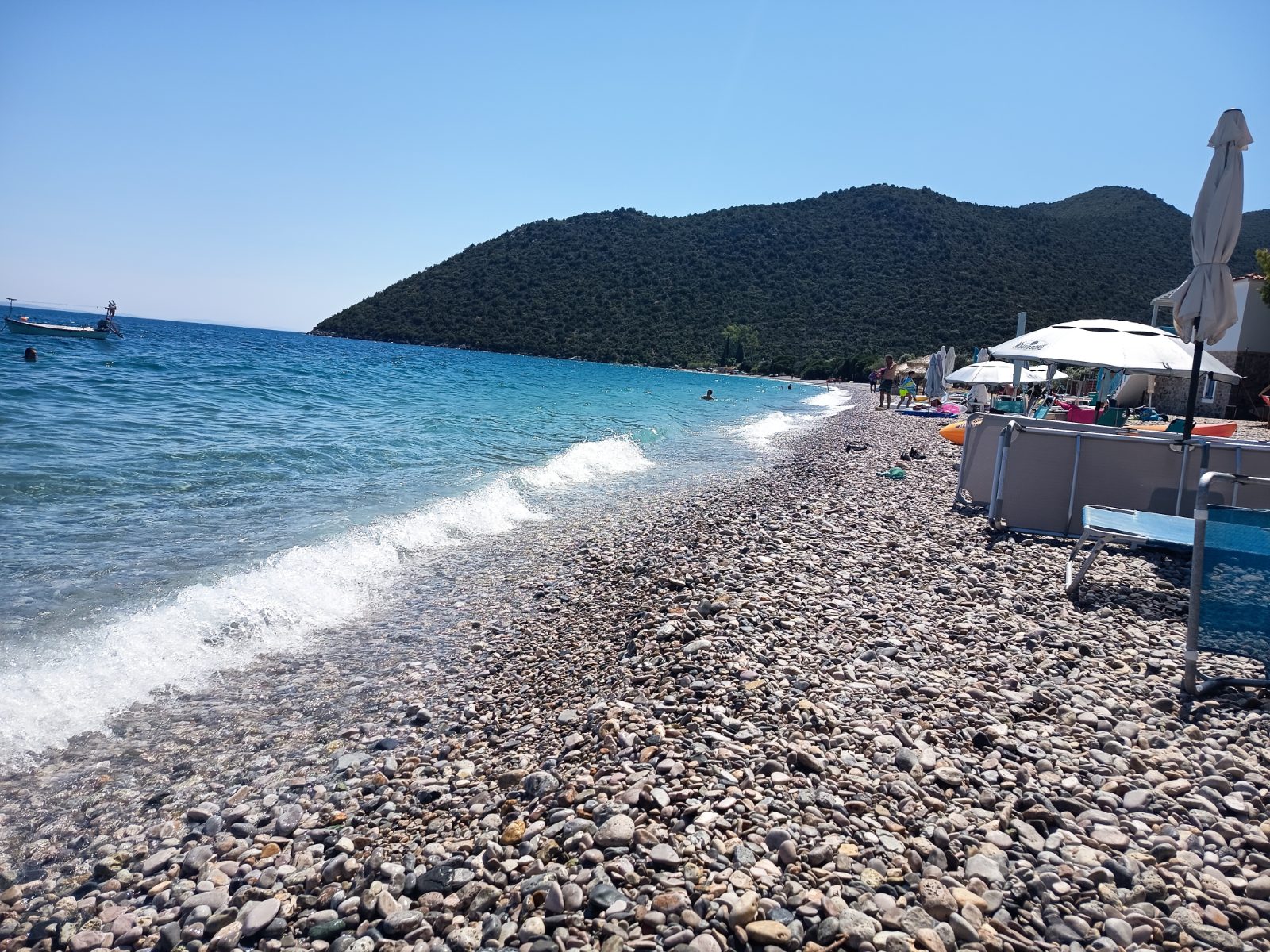Zaritsi